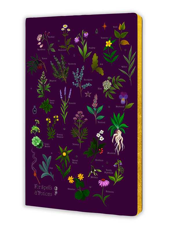 Anna Stead: For Spells & Potions (Soft Touch Journal) - Image 2