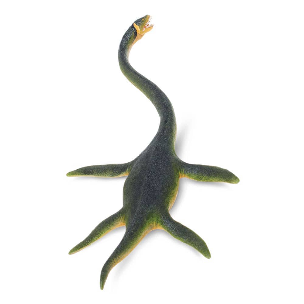 Safari Ltd - Elasmosaurus Figure - Image 2