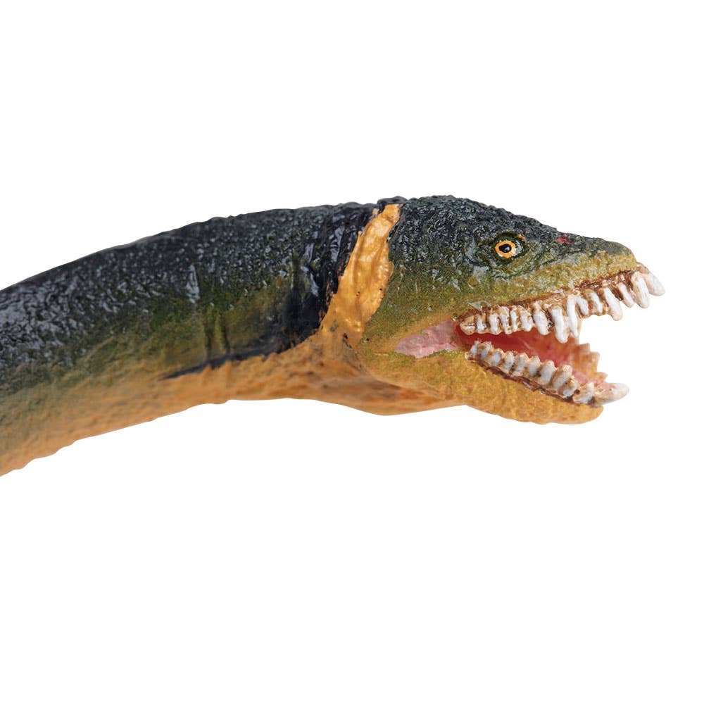 Safari Ltd - Elasmosaurus Figure - Image 3