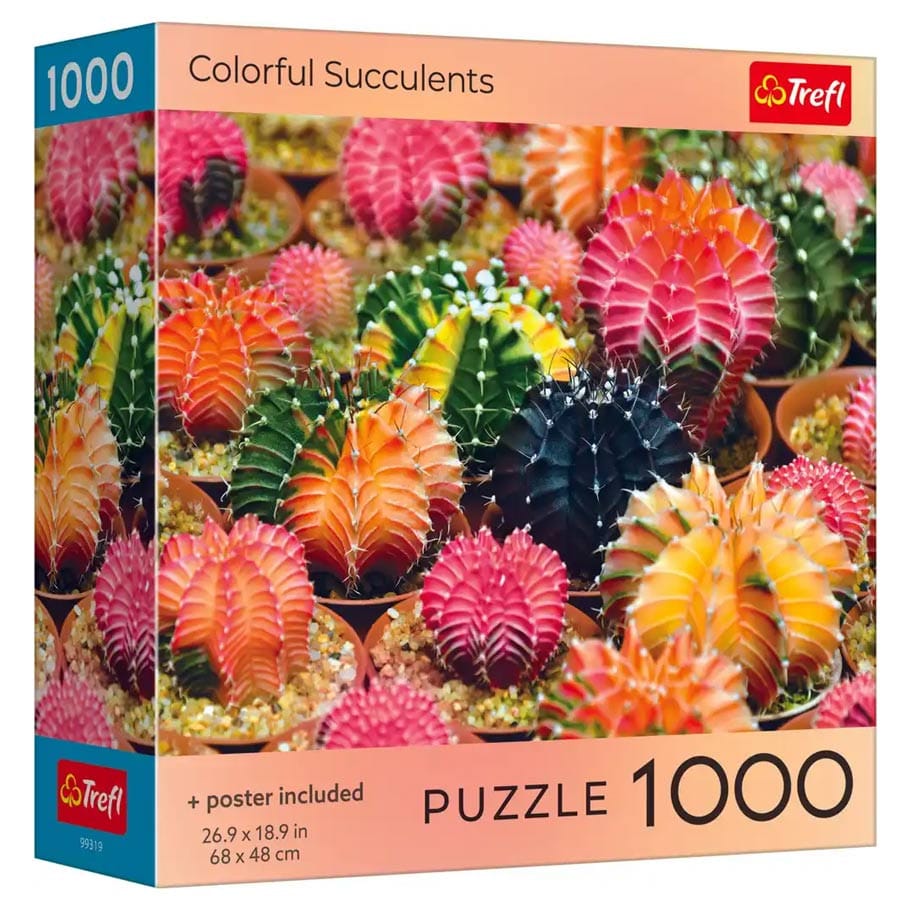 Puzzle: Colorful Succulents 1000 Piece