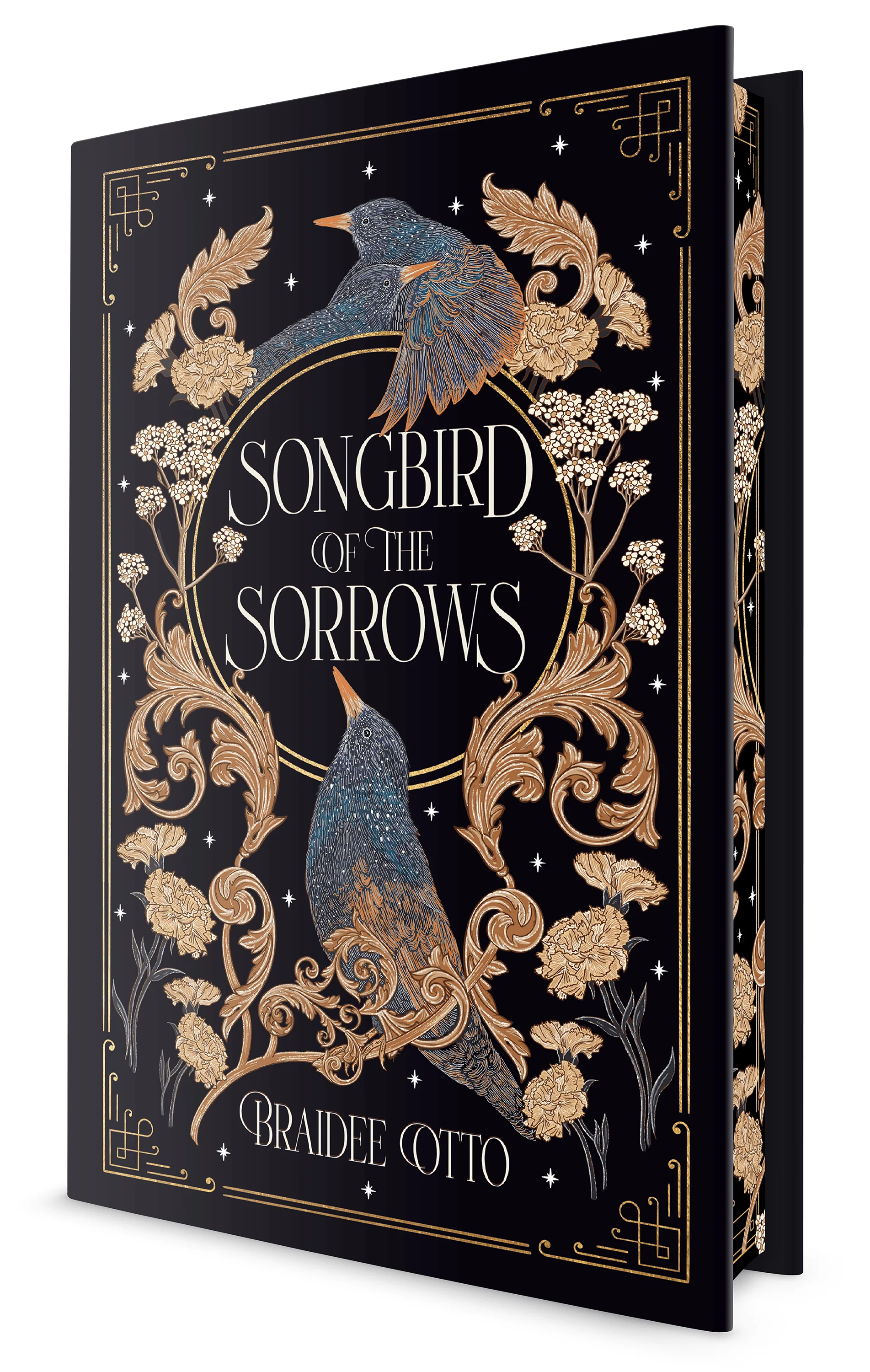 Songbird of the Sorrows by Braidee Otto (Hardcover)
