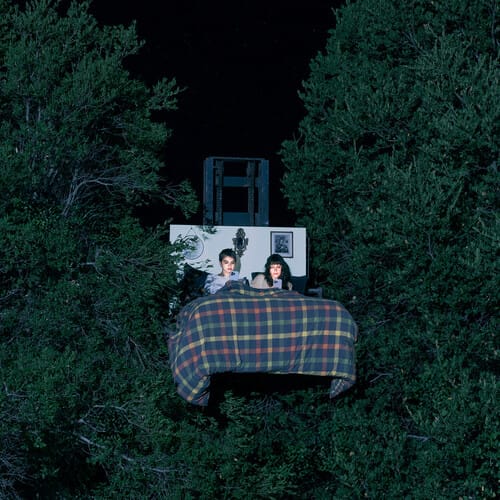 The Army, The Navy - Fake Brave Life [CD]