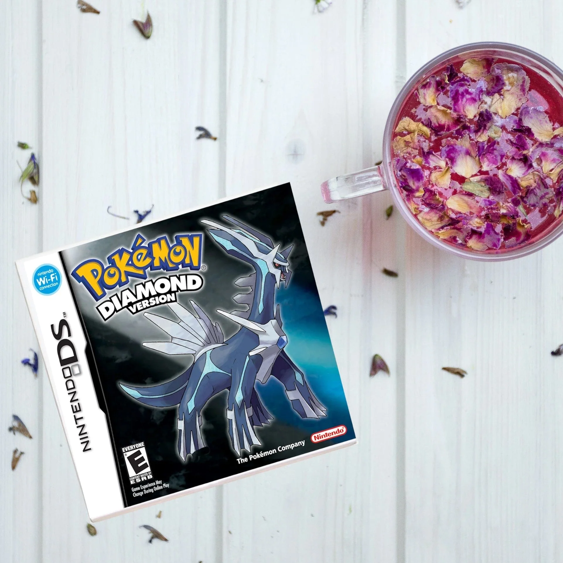 Video Game Coaster: Pokémon - Diamond Version